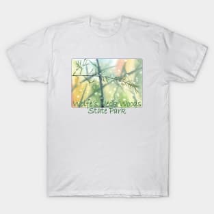 Wolfe's Neck Woods State Park, Maine T-Shirt